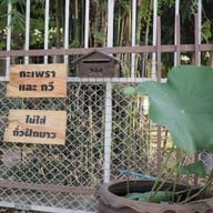 กะเพราและกวี