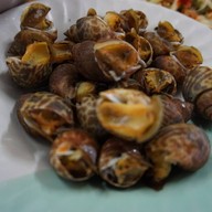 เมนูของร้าน ป้ายาหอยสด