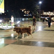 บรรยากาศ Dalat Lam Vien Square