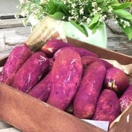 Horse Mountain Roaster ชุมพร