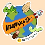 บ.ใบคึกคัก