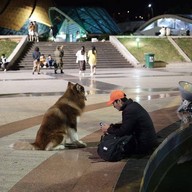 บรรยากาศ Dalat Lam Vien Square