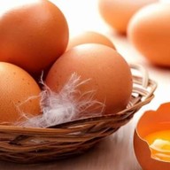 ไข่สด ตลาดบ้านเหนือ เเม่สอด บ้านเหนือ