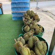 ร้าน ทุเรียนบิ๊กกร เมืองชุมพร