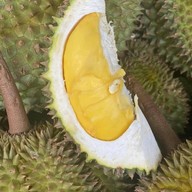 ร้าน ทุเรียนบิ๊กกร เมืองชุมพร