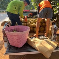 ร้าน ทุเรียนบิ๊กกร เมืองชุมพร