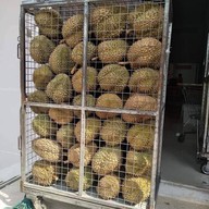 ร้าน ทุเรียนบิ๊กกร เมืองชุมพร