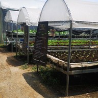 Craft Salad ราชบุรี