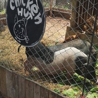 Craft Salad ราชบุรี