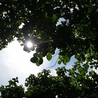 บรรยากาศ บุฮม คาเฟ่ แคมป์ปิ้ง