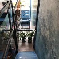 Blue Whale Blue Whale