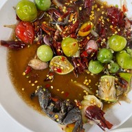 เมนูของร้าน ผู้ชาย ขายหอย ปลาร้านัวเมืองเลย สาขาจังหวัดเลย