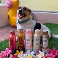 ชานมไต้หวัน Tiger Sugar by Tatar