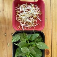 เตี๋ยวเรือยุดยา สาขา1 คลองหลวง สาขา 1