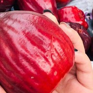 แซลม่อนซาซิมิ ชมพู่มะเหมี่ยว  ทุเรียน ข้าวเหนียวมะม่วง ต้มเลือดหมู ขนมปังหน้าหมู ข้าว ก๋วยเตี๋ยว อาห