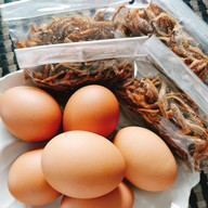 ร้านขนมจีนป้าทัย
