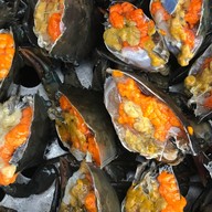 ร้านปูเนื้อปูไข่ มหาชัย