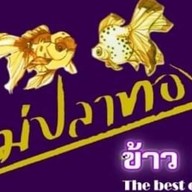 ร้านข้าวแกงแม่ปลาทอง สามพราน