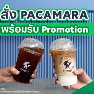 PACAMARA กลางเวียง เชียงใหม่