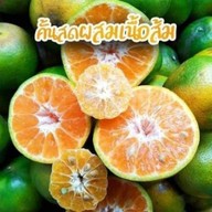 น้องพลอยน้ำส้มคั้นสด100%