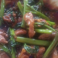 หอยครกทะเล