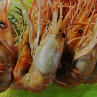 หมึกย่างปะล่ะ (ปลาหมึกย่าง)093-2710095 1