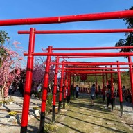 ไคลอง คาเฟ่ Kailong Cafe