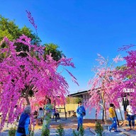 ไคลอง คาเฟ่ Kailong Cafe