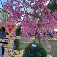 ไคลอง คาเฟ่ Kailong Cafe