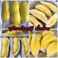 ราชาหมอนทอง(ทุเรียนทั้งปี)