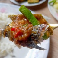 เมนูของร้าน ข้าวหมูทอด ตั้ง ตัว ฮะ เพชรเกษม77