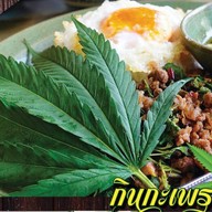 กินกะเพรา-กัญ