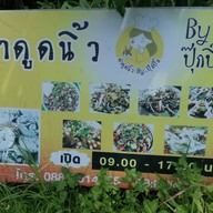 ตำดูดนิ้ว โพนทอง