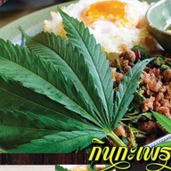 กินกะเพรา-กัญ