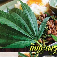 กินกะเพรา-กัญ