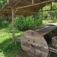 ตำดูดนิ้ว โพนทอง