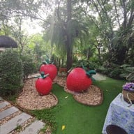 บรรยากาศ ณ Khonyok Sheep Farm & Cafe