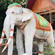 วัดป่าโนนแพง