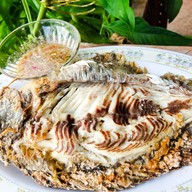 แพร่ นาวีปลาเผา