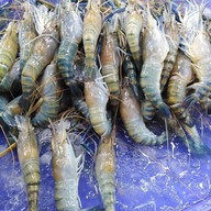 ร้านออยตลาด61ของทะเลสด