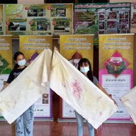 วิสาหกิจชุมชนกลุ่มท่องเที่ยวเชิงเกษตรและวัฒนธรรมบ้านวังหว้า