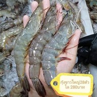 ร้านออยตลาด61ของทะเลสด