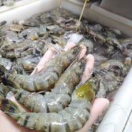 ร้านออยตลาด61ของทะเลสด