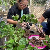 วิสาหกิจชุมชนกลุ่มท่องเที่ยวเชิงเกษตรและวัฒนธรรมบ้านวังหว้า