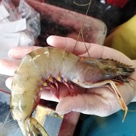 ร้านออยตลาด61ของทะเลสด