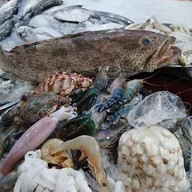 ร้านออยตลาด61ของทะเลสด