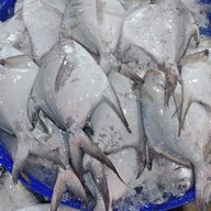 ร้านออยตลาด61ของทะเลสด