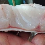 ร้านออยตลาด61ของทะเลสด