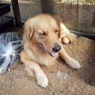 สีชังวิลล่า