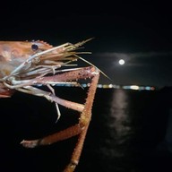 สีชังวิลล่า